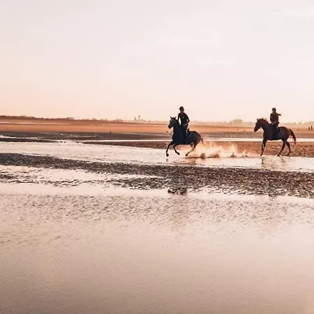 Avec Terrasse, Parking Et Wifi, 4 Pers. à Franceville - Fr-1-465-98