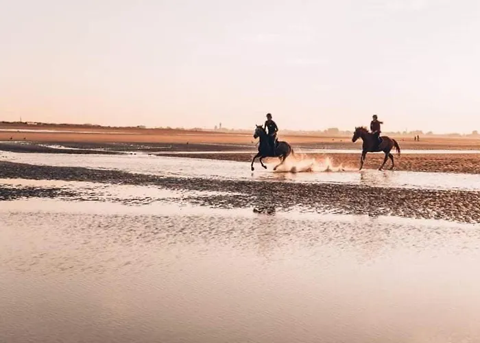 Avec Terrasse, Parking Et Wifi, 4 Pers. A Franceville - Fr-1-465-98